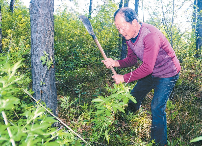 易厚掌：綠化荒山 35年如一日