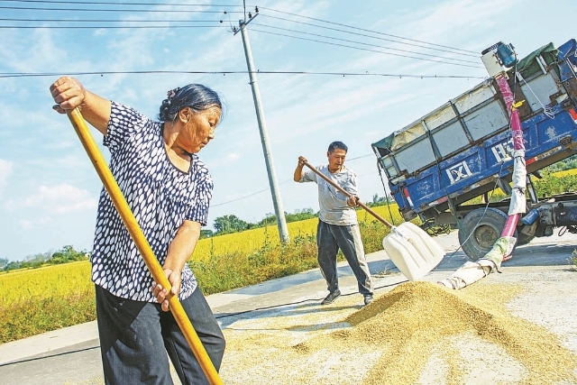 “萬”眾一心脫貧致富奔小康