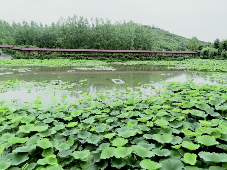 端午出游，文明成為最美風(fēng)景